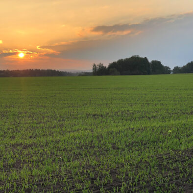 Abendstimmung über den Feldern bei Schwanstetten